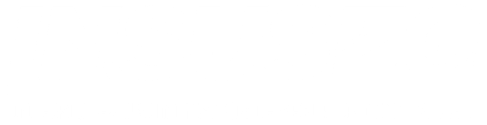 Insuseg