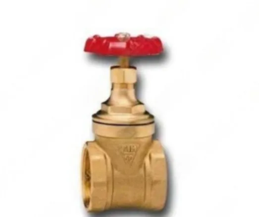 VALVULA COMPUERTA LIVIANA125 LBS CIM 50