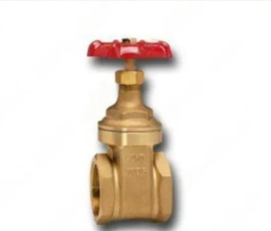 VALVULA COMPUERTA PESADA 250 LBS CIM 70