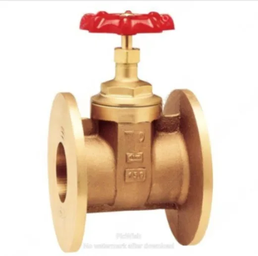 VALVULA COMPUERTA BCE. C/BRIDA CIM 72 F