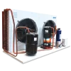 Unid. Cond. SCROLL 5.0HP – 220V/3PH/60Hz – MT (+10C/-30C – R404A) – UCZ0500M3X – XCOLD - Imagen 3